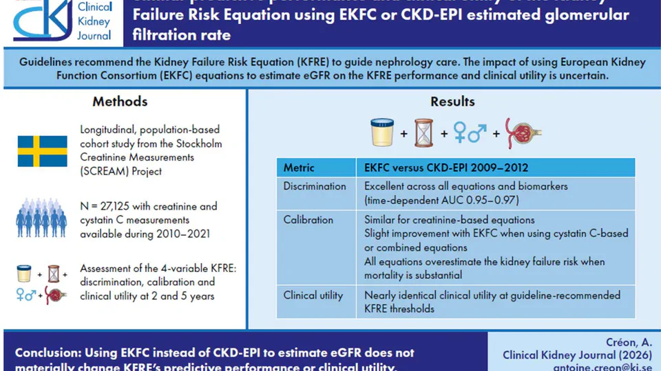 Similar Predictive Performance and Clinical Utility of the Kidney Failure Risk Equation Using EKFC or CKD-EPI Estimated Glomerular Filtration Rate
