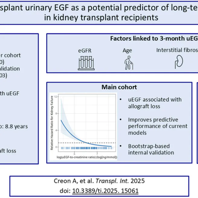 Early Post-Transplant Urinary EGF as a Potential Predictor of Long-Term Allograft Loss in Kidney Transplant Recipients